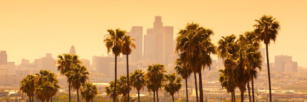 jennystuder's profile banner image