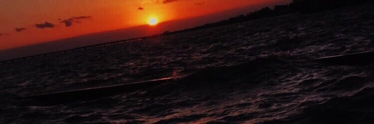 lew312's profile banner image
