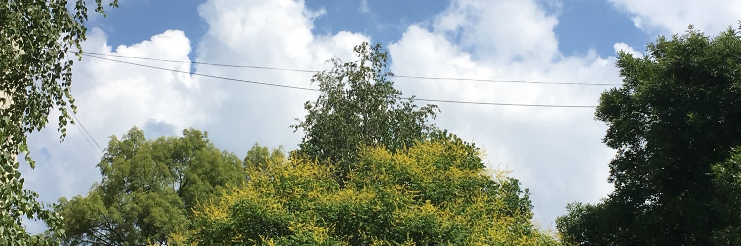 Regina Falange banner
