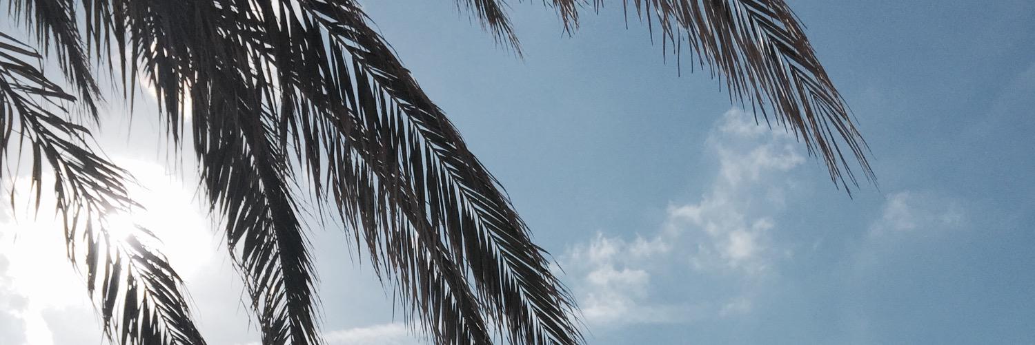 andycarne6's profile banner image
