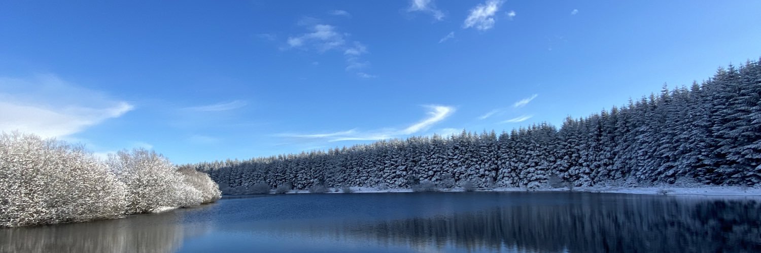 JessBagStorr's profile banner image