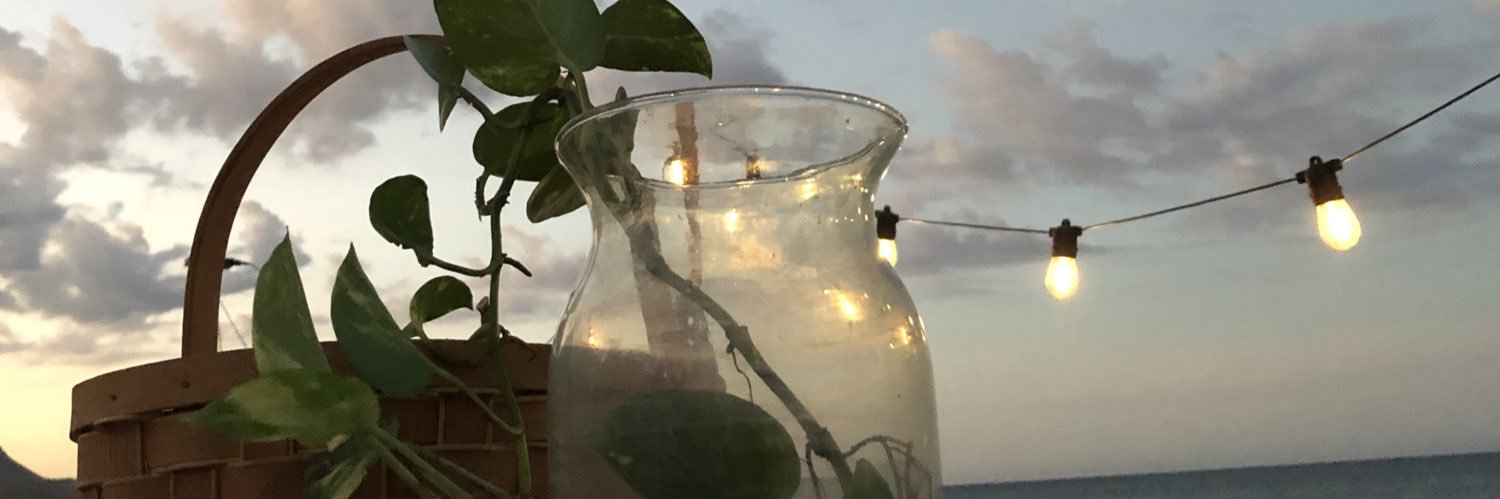 AlondraGlez24's profile banner image