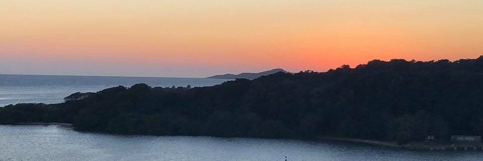 monica0223's profile banner image