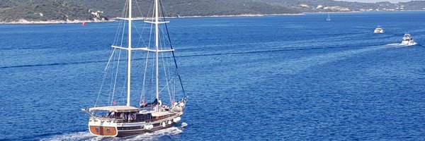 docgill95 Profile Banner