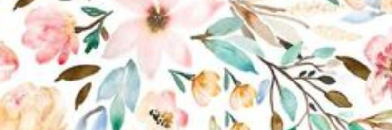 SolciDiCamillo's profile banner image