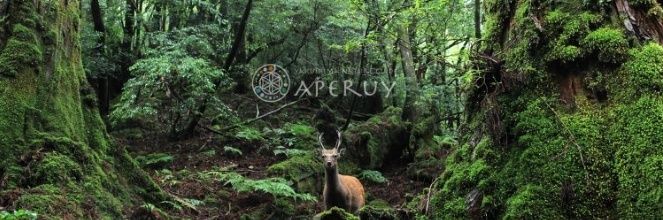 6625paradigm's profile banner image