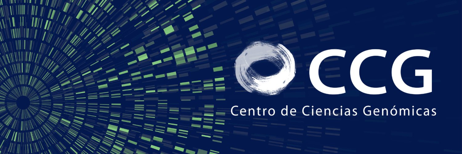 CCG UNAM's banner