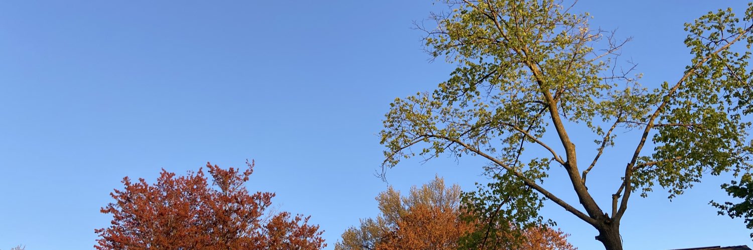 alexabtn's profile banner image