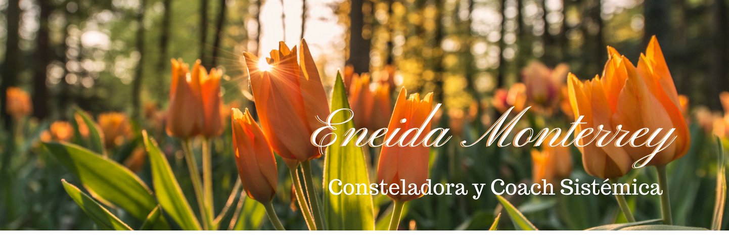 EneidaMonterrey's profile banner image