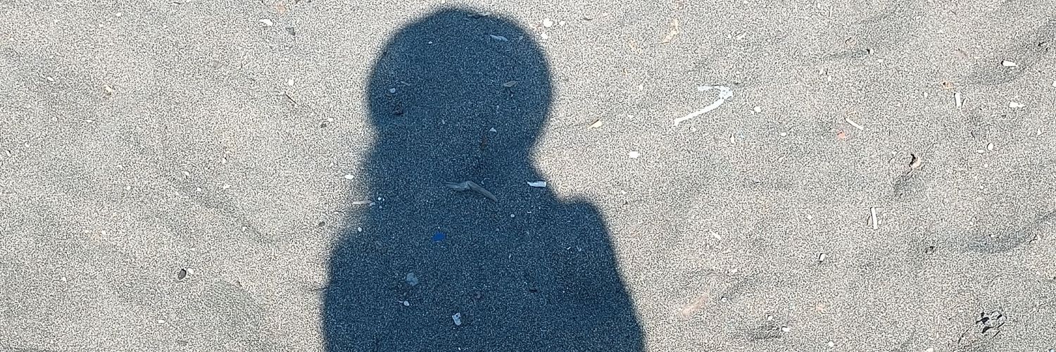 birzerdali's profile banner image