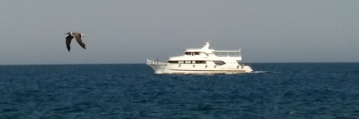 OmarMostafa340's profile banner image