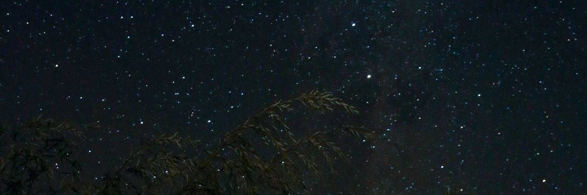 sofipedano7's profile banner image