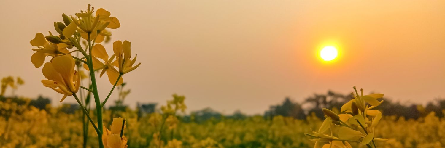 subhank76034601's profile banner image