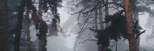 srPsicosis's profile banner image