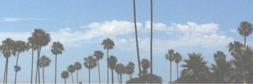 TallGuy_Stevee's profile banner image