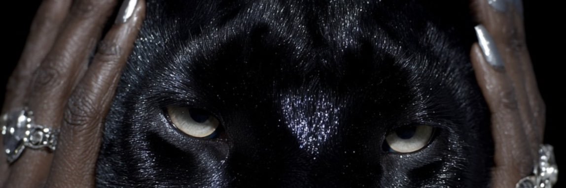 TriniFeva's profile banner image