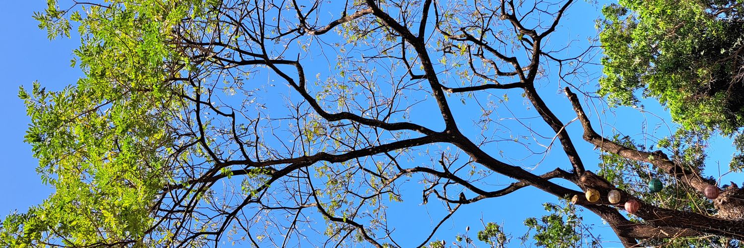 MDCatacio's profile banner image