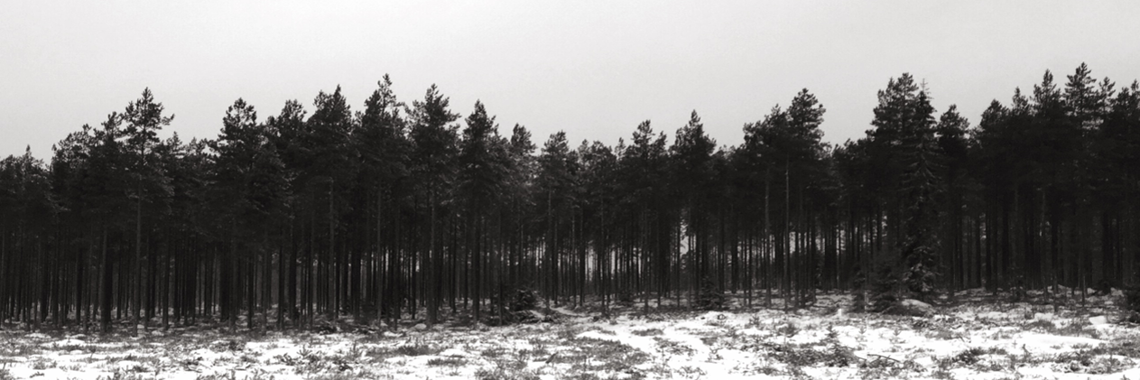 miiamapps's profile banner image