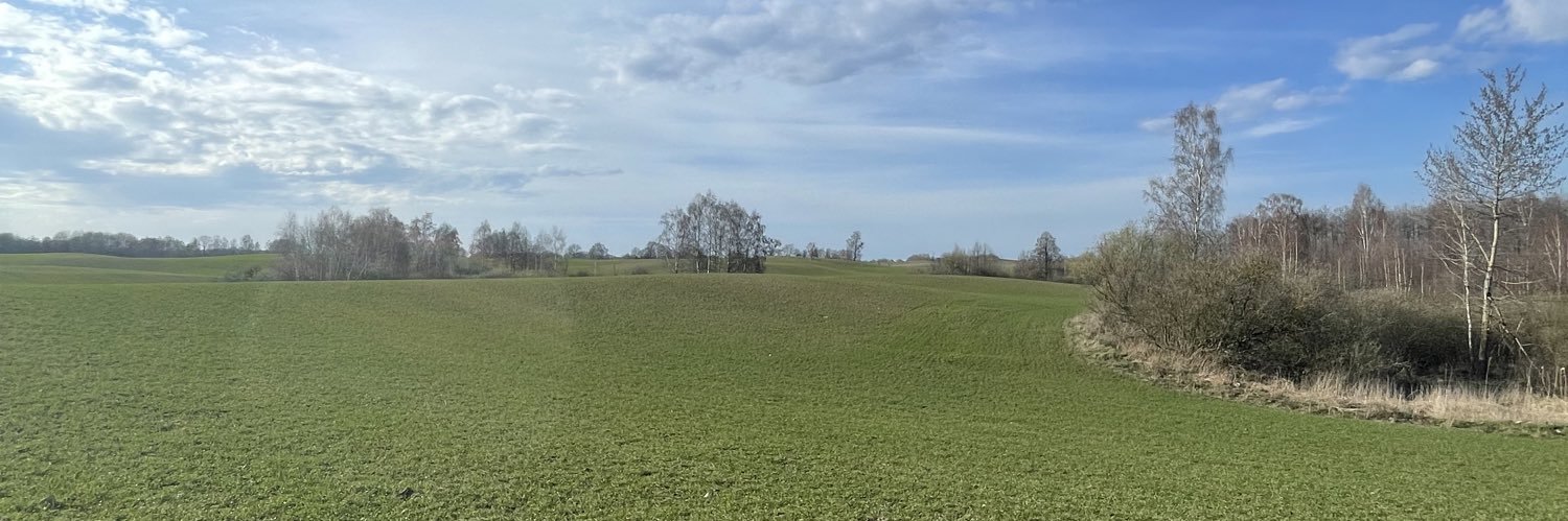 Ignacy Niemczycki banner