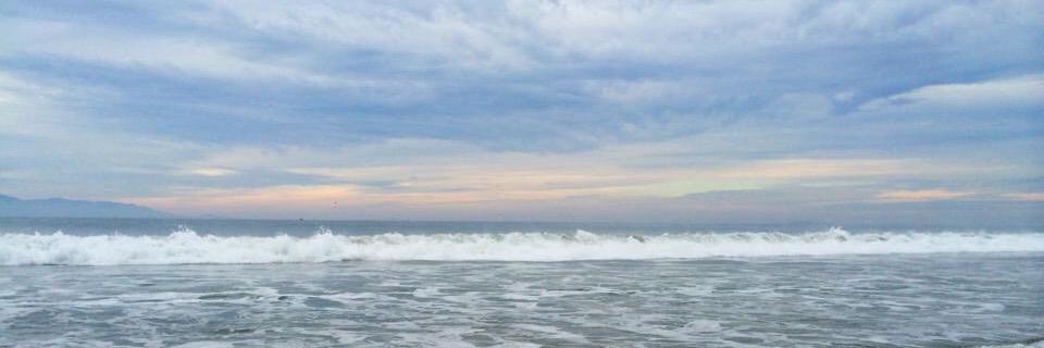 _LisaRobertson_'s profile banner image