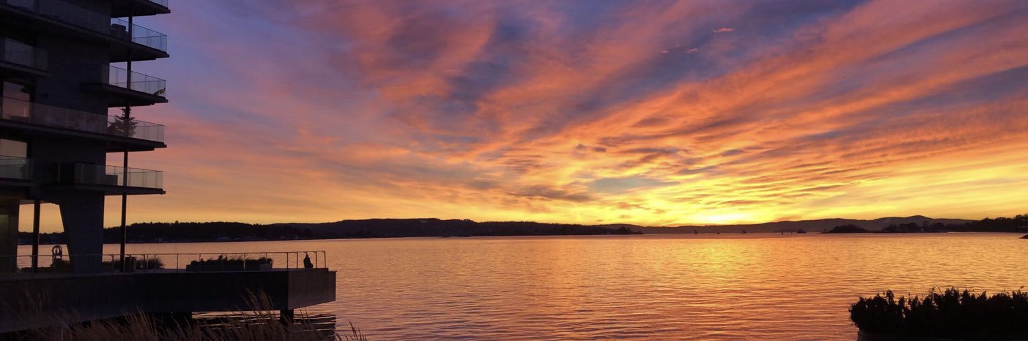 Philip Lund/Flippern93 banner