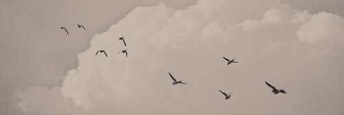 proud_112's profile banner image