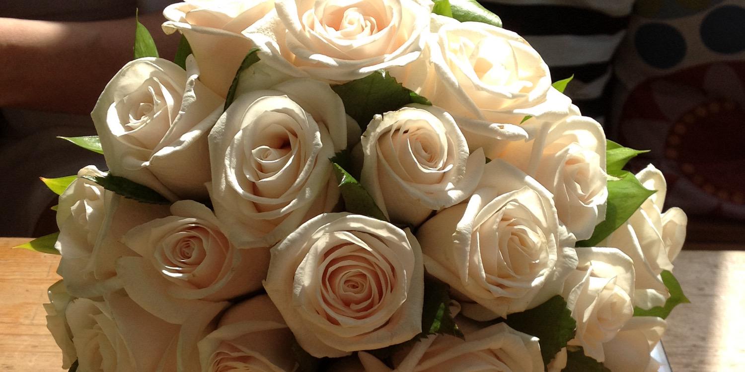 melda_eminoglu's profile banner image