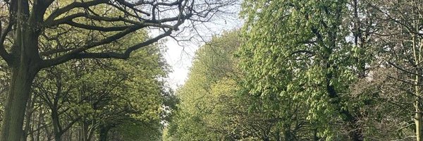 SimonLepper Profile Banner