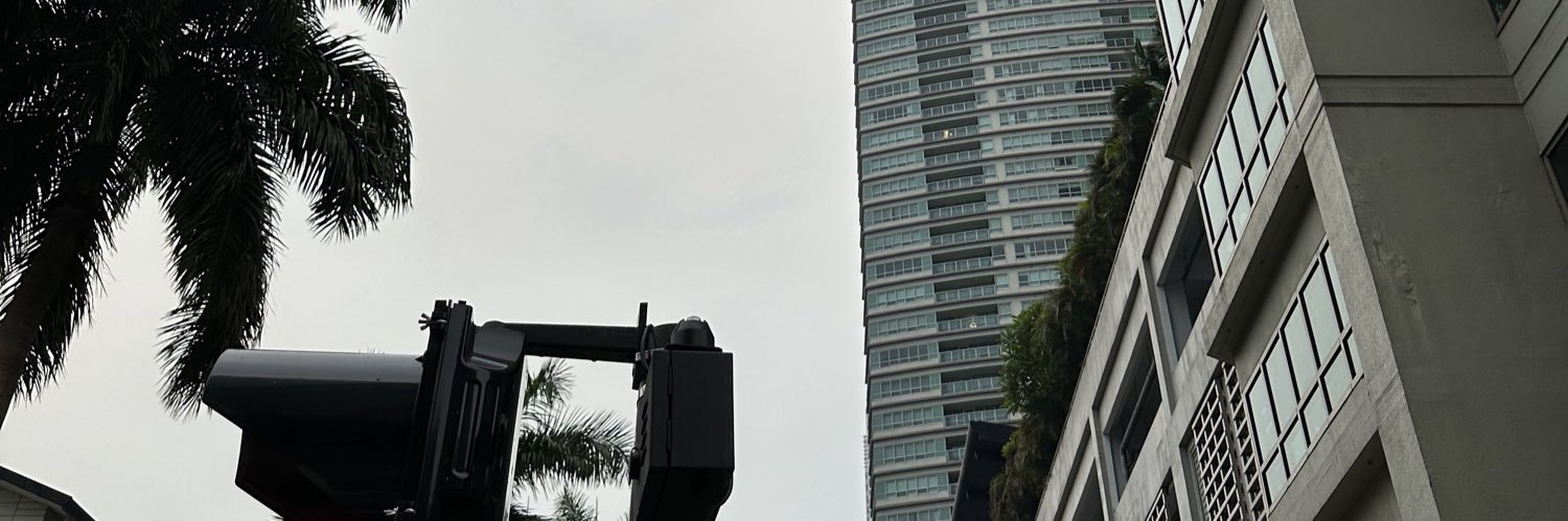 SheLuxee's profile banner image