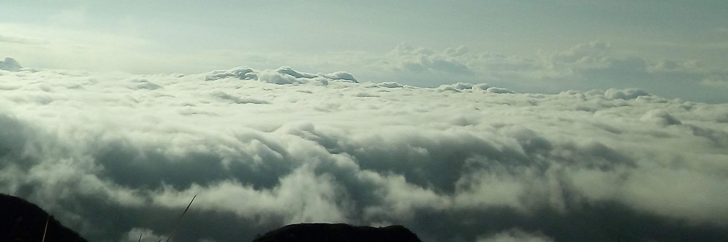 olymorals's profile banner image
