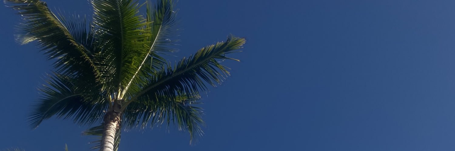 kennarhancock's profile banner image