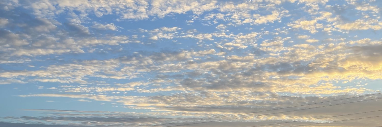 aaanowickiii's profile banner image