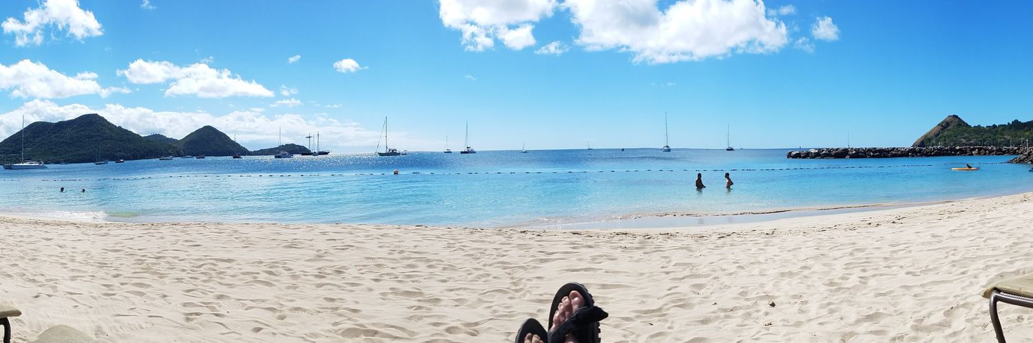 Nick The Curious banner