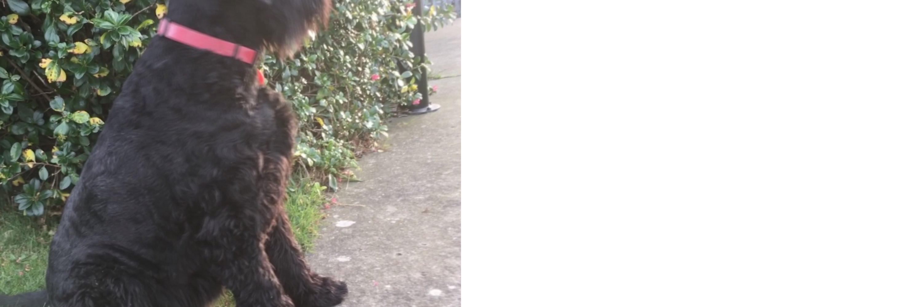 PaulDouglas4's profile banner image
