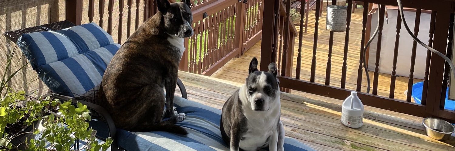 ItsJBergs's profile banner image