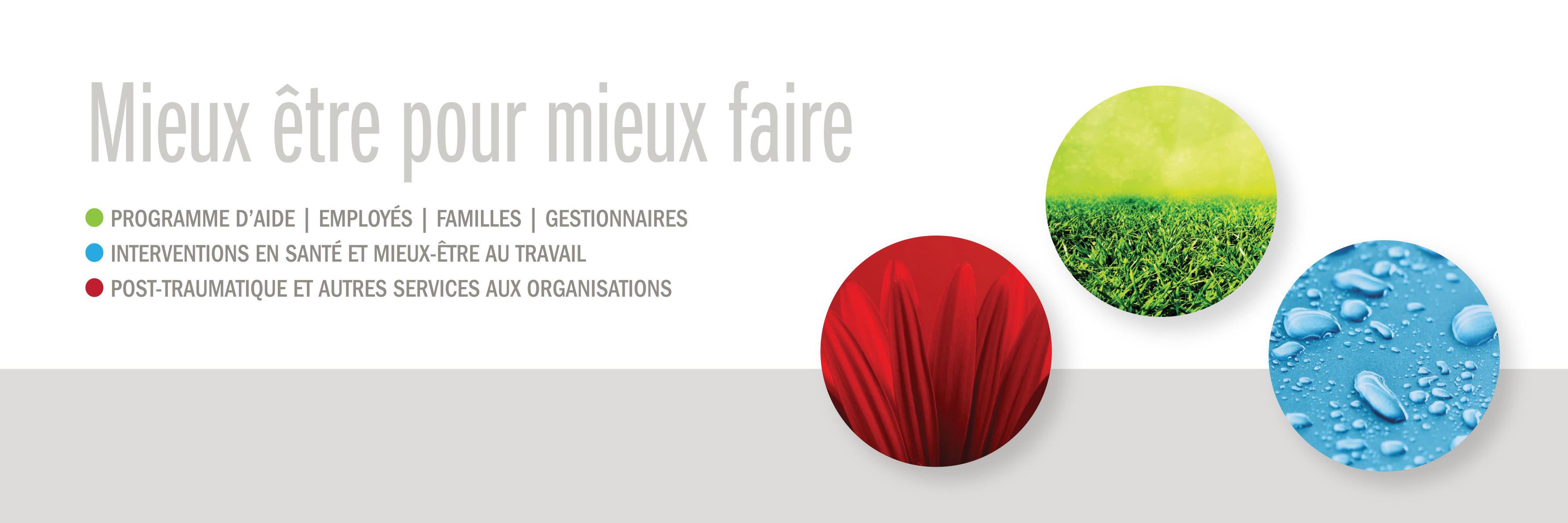 Pro Santé/Pro Health banner