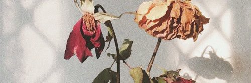 noerdeana's profile banner image