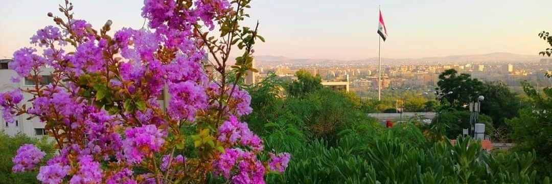 mohammed_abbar's profile banner image