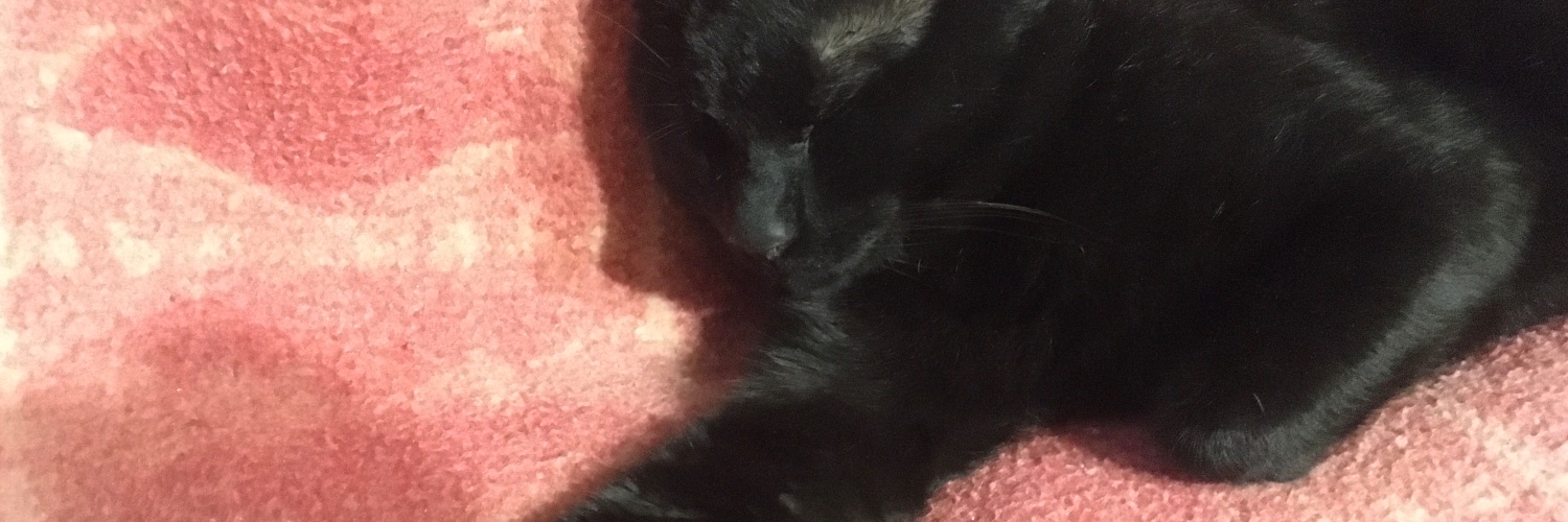 Tomvaz's profile banner image