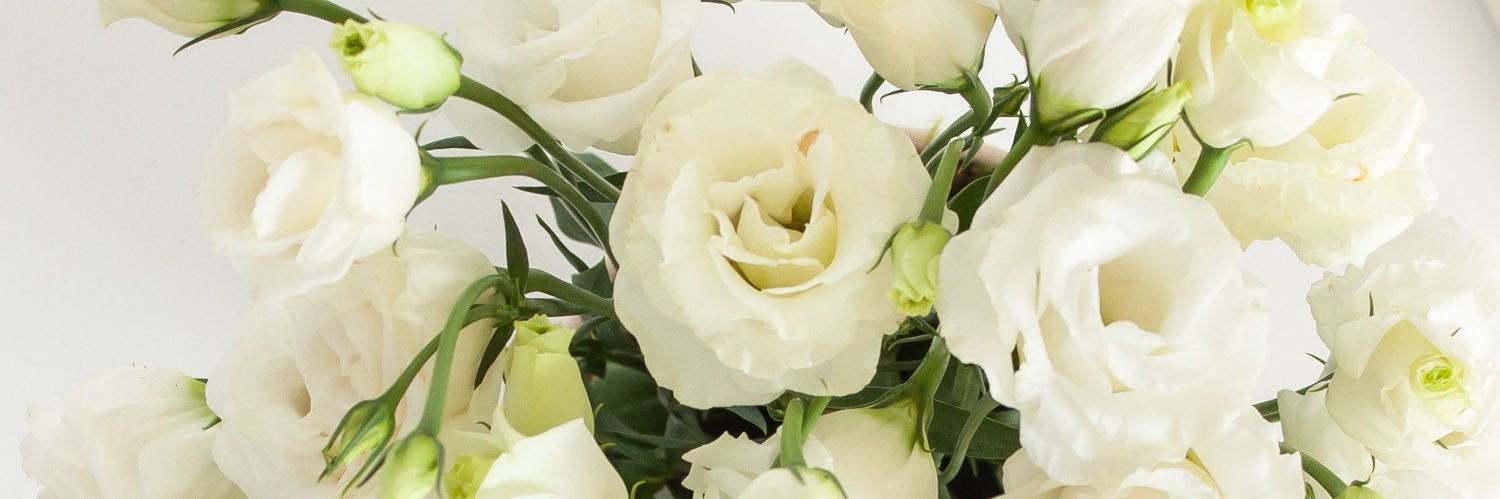 Mathilde_lbrg's profile banner image