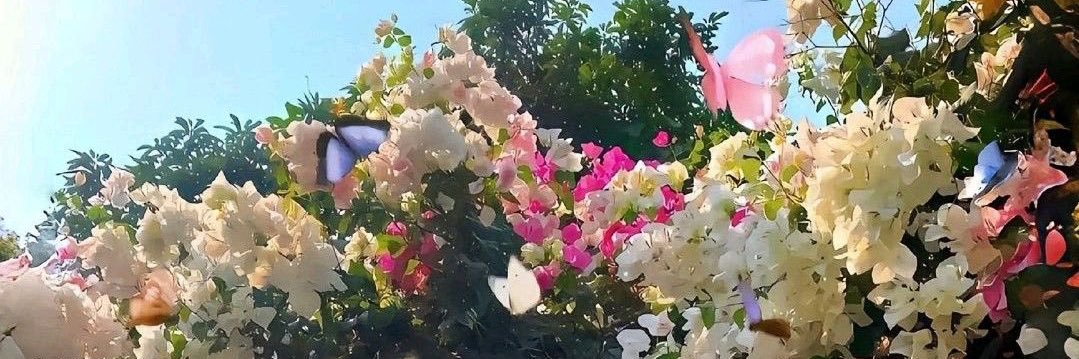 asasli_'s profile banner image