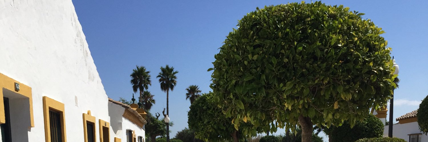 itemino's profile banner image