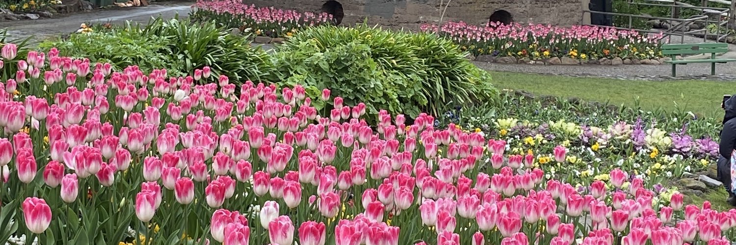 Joseph Angelo banner