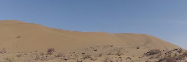 RosieStancer Profile Banner