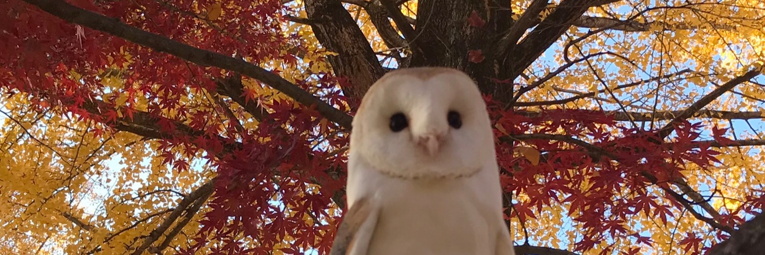てんてん＠Ｙ山姐 banner
