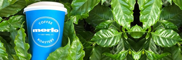 merlocoffee Profile Banner