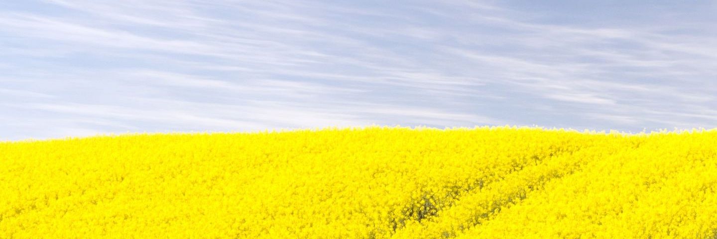 porpulation's profile banner image