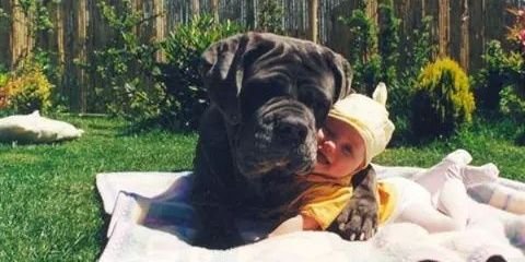 amanda_enedino's profile banner image