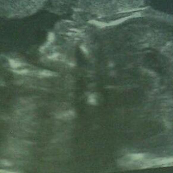 MariLlorente4's profile banner image