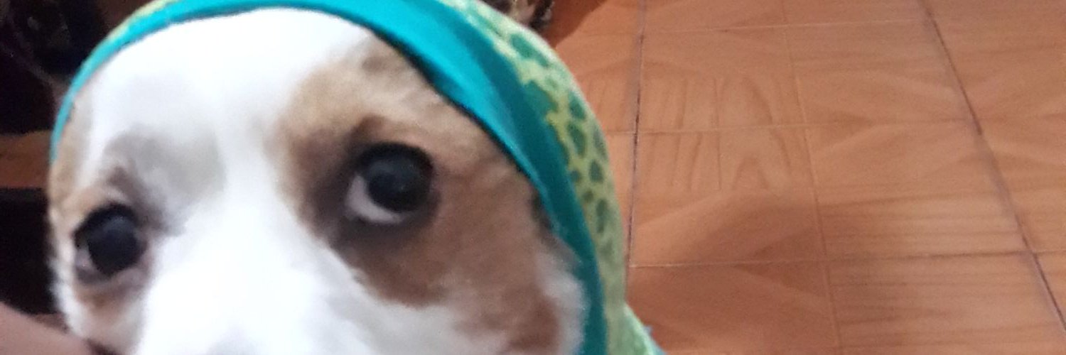 andreadvmota's profile banner image